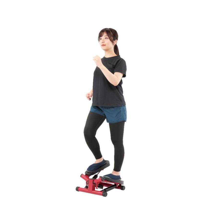 ナイスデイコンパクト ホワイト WS NICSWSWH 【直送品】 返品・キャンセル・他商品と同時購入は不可の画像