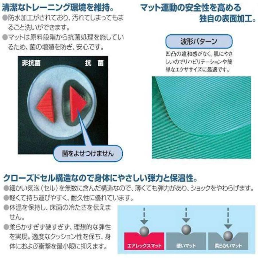 フィットネスマット フィットライン180 AML-480P 【直送品】 返品