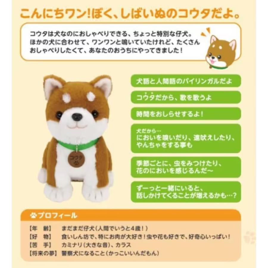 【新品】しばいぬコウタ　バンダナ付 バンダナ付 こんにちワン！しばいぬコウタ バンダナつきセット