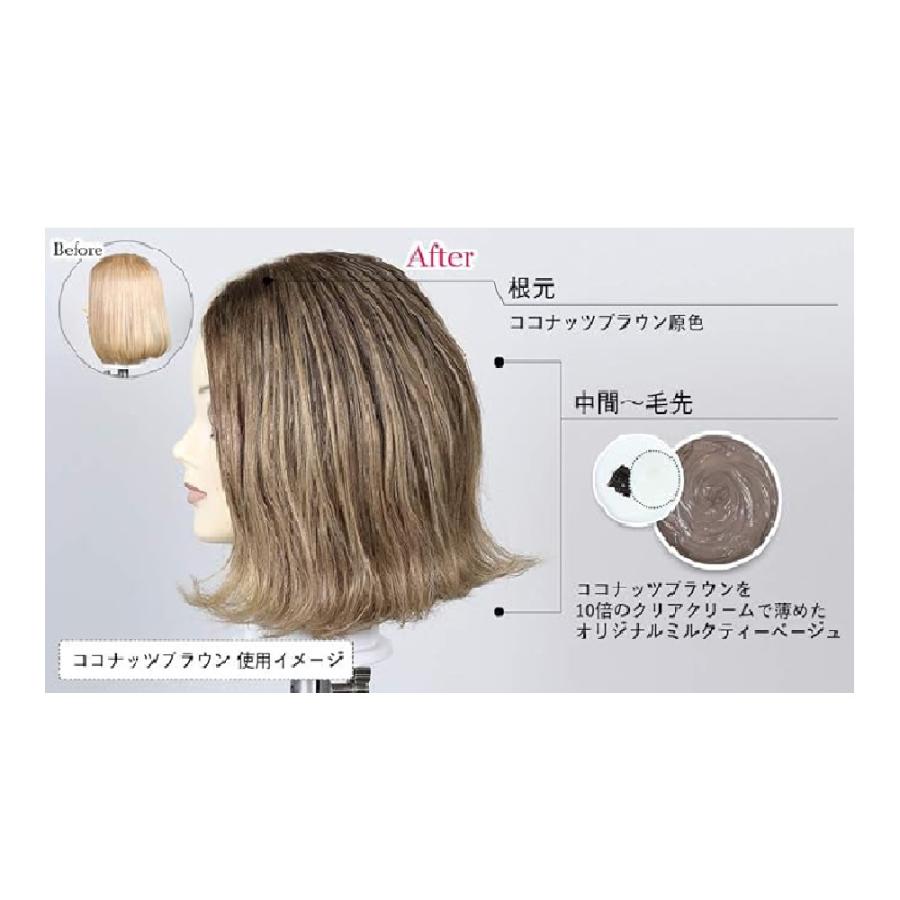 エンシェールズ カラートリートメント ココナッツブラウン 200G : サン