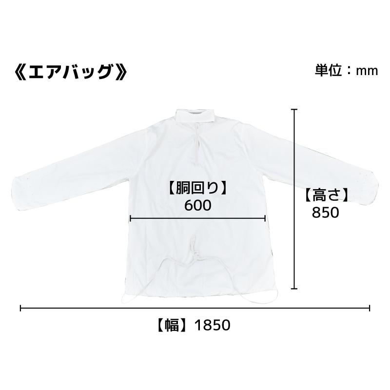 シワを伸ばすハンガー型乾燥機「アイロンいら〜ず」 HRNCLSSBK 【直送