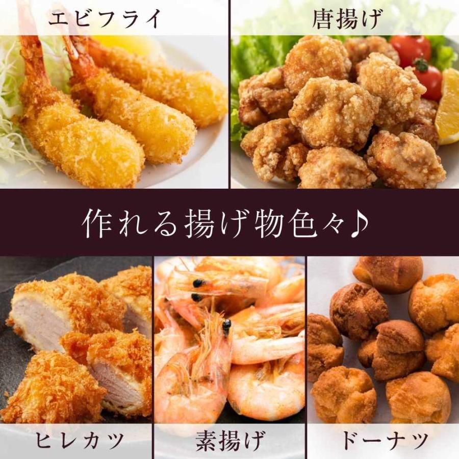 コンパクトフライヤー 「カラリ2」 KRAR25SBK メーカー直送▽返品