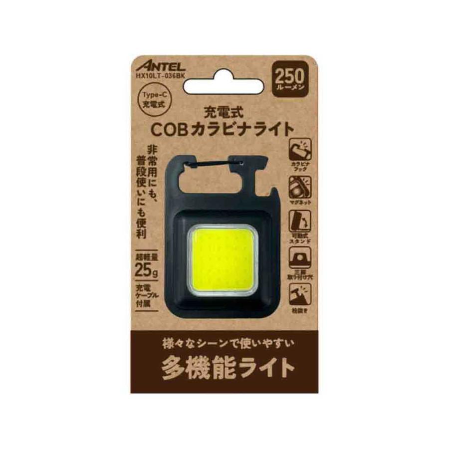 テラバイトくん専用 アンバー ライト 9個セット LEDズームライト ラバーグリップ ECLAT USB充電式 900ルーメン｜LHA