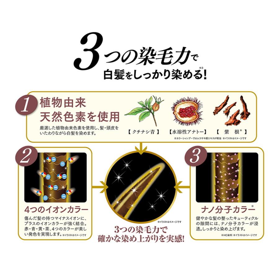 利尻 炭酸カラーシャンプー ブラック 180g : サンドラッグe-shop 利尻 炭酸カラーシャンプー ブラック 180g : サンドラッグe-shop