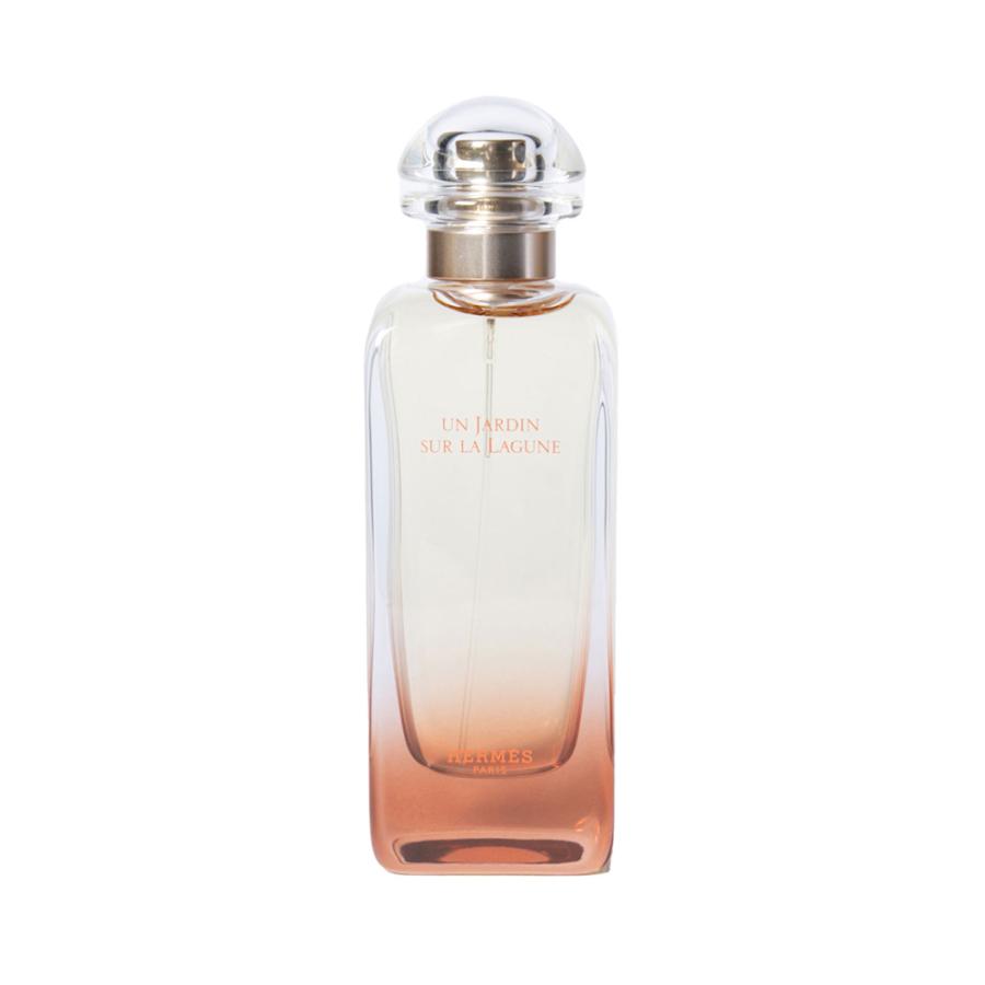エルメス ラグーナの庭 オードトワレ 100ml 並行輸入品 エルメス ラグーナの庭 オードトワレ 100mL 【直送品