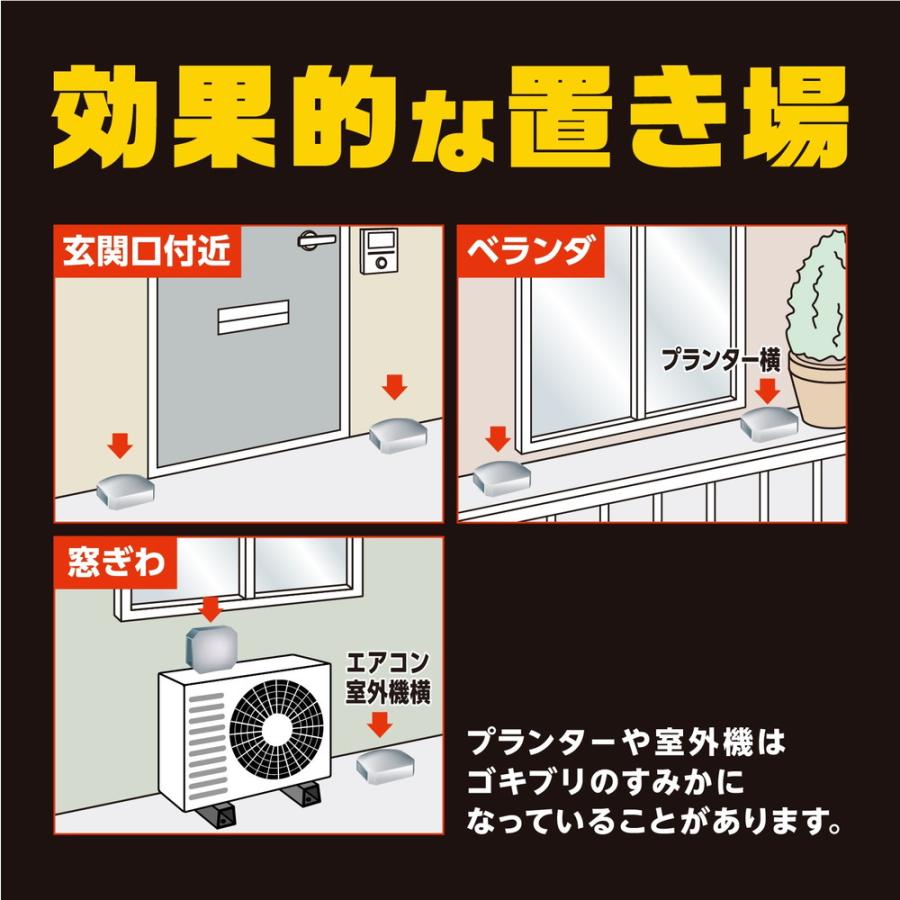 ポイント10倍】【防除用医薬部外品】アース ブラックキャップ ポイント10倍】【防除用医薬部外品】アース ブラックキャップ