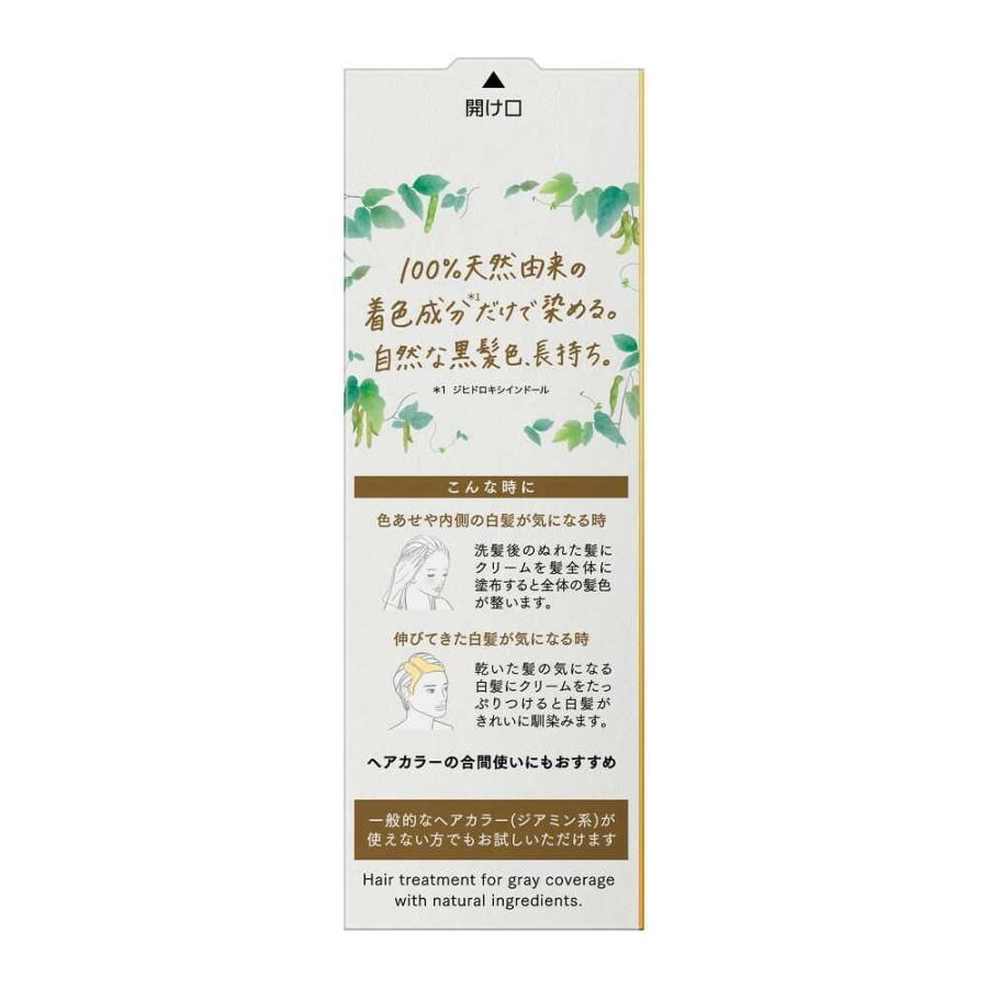 ブローネ 花王 ナチュリラ 色長持ちカラートリートメント ブラック