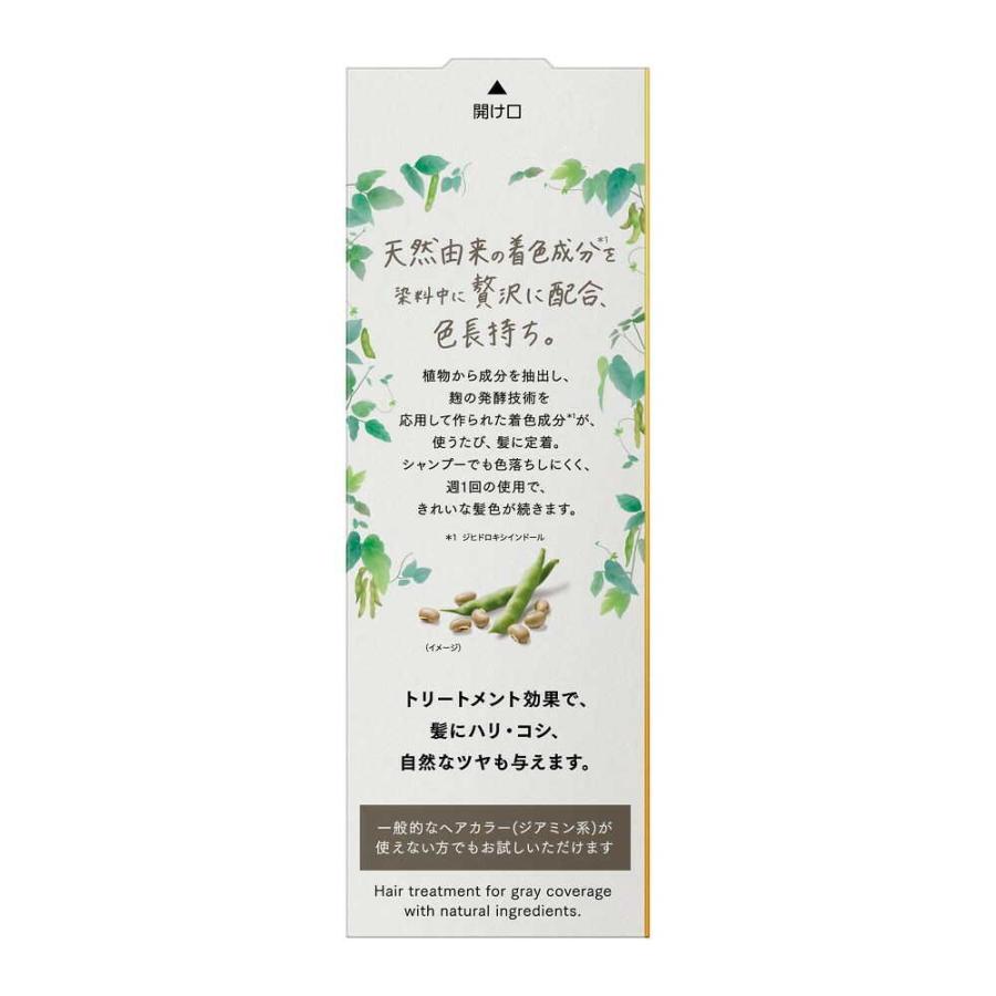 花王 ブローネ ナチュリラ 色長持ちカラートリートメント アッシュ