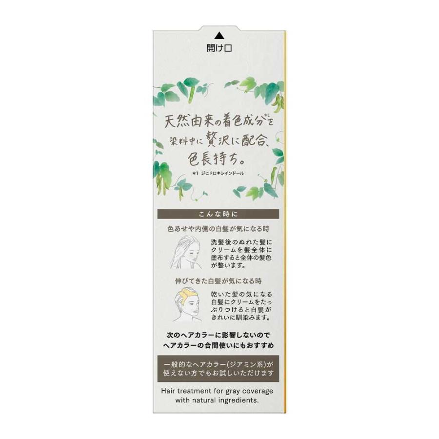 花王 ブローネ ナチュリラ 色長持ちカラートリートメント アッシュ