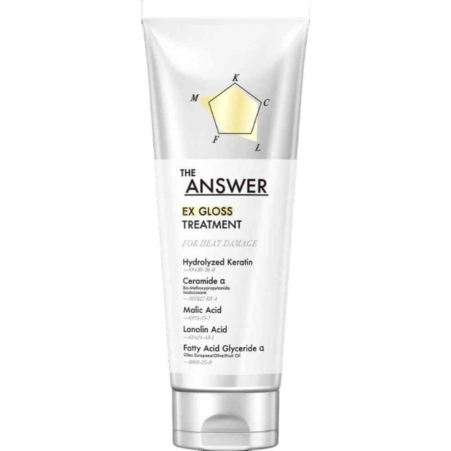 花王 THE ANSWER EXグロストリートメント FOR HEAT DAMAGE 220g : サン