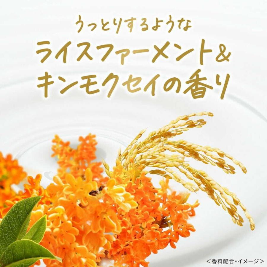 ダヴ ボディウォッシュ ライスファーメント&キンモクセイ ダヴ ボディウォッシュ ライスファーメント&キンモクセイ