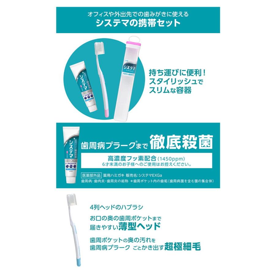 システマ ライオン デンターシステマハンディセット 1本＋30G : サン