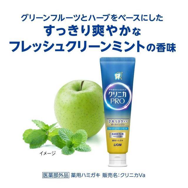 クリニカPRO オールインワンハミガキ フレッシュクリーンミント 95g 15個 クリニカ 【医薬部外品】ライオン クリニカPROオールインワンハミガキ