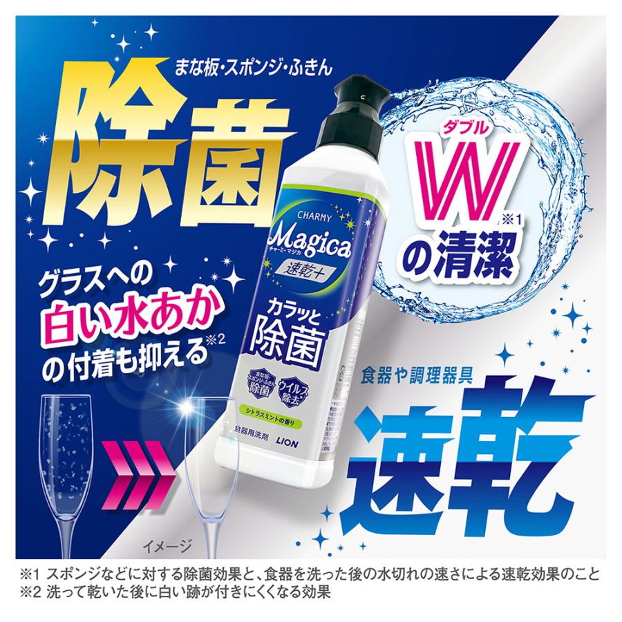 ライオン Magica（マジカ）速乾+カラッと除菌ローズ 本体 220ml : サン