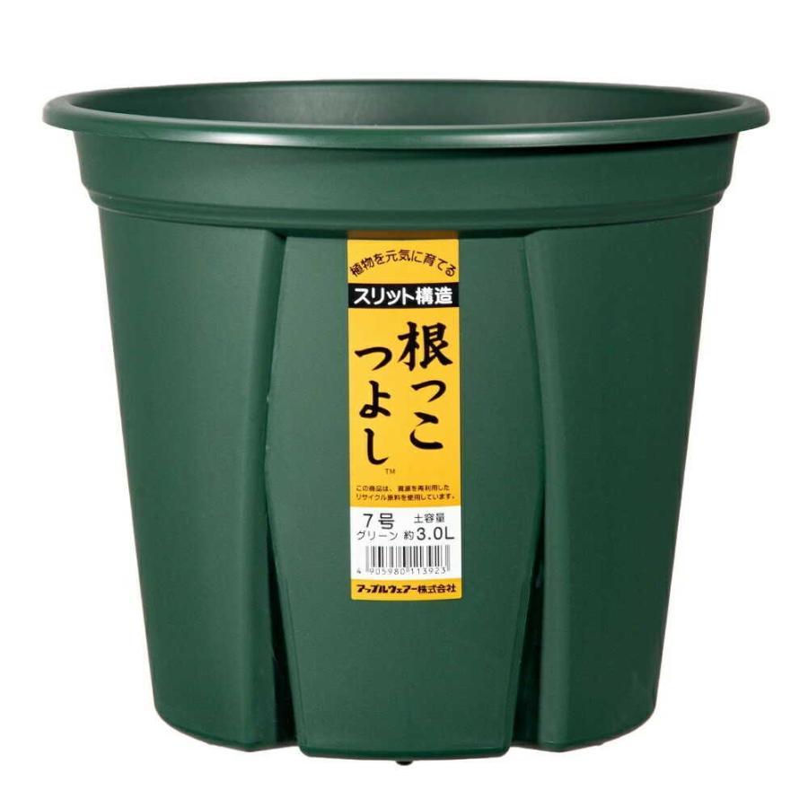 アップルウェアー 根っこつよし 7号 グリーン : サンドラッグe-shop