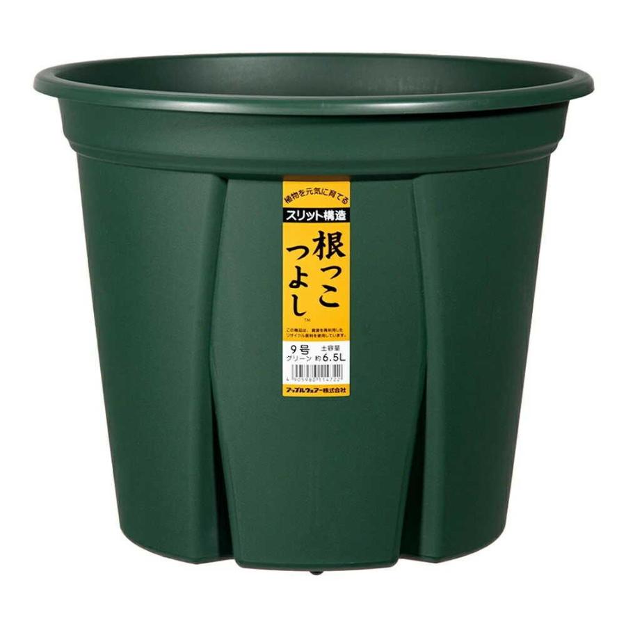 アップルウェアー 根っこつよし 9号 グリーン : サンドラッグe-shop