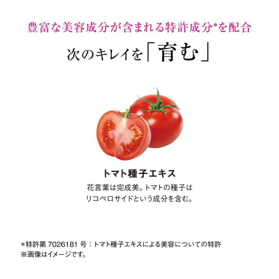 資生堂 ザ・コラーゲン リュクスリッチ タブレット 1日6粒目安 21日分（126粒）｜sundrugec｜07