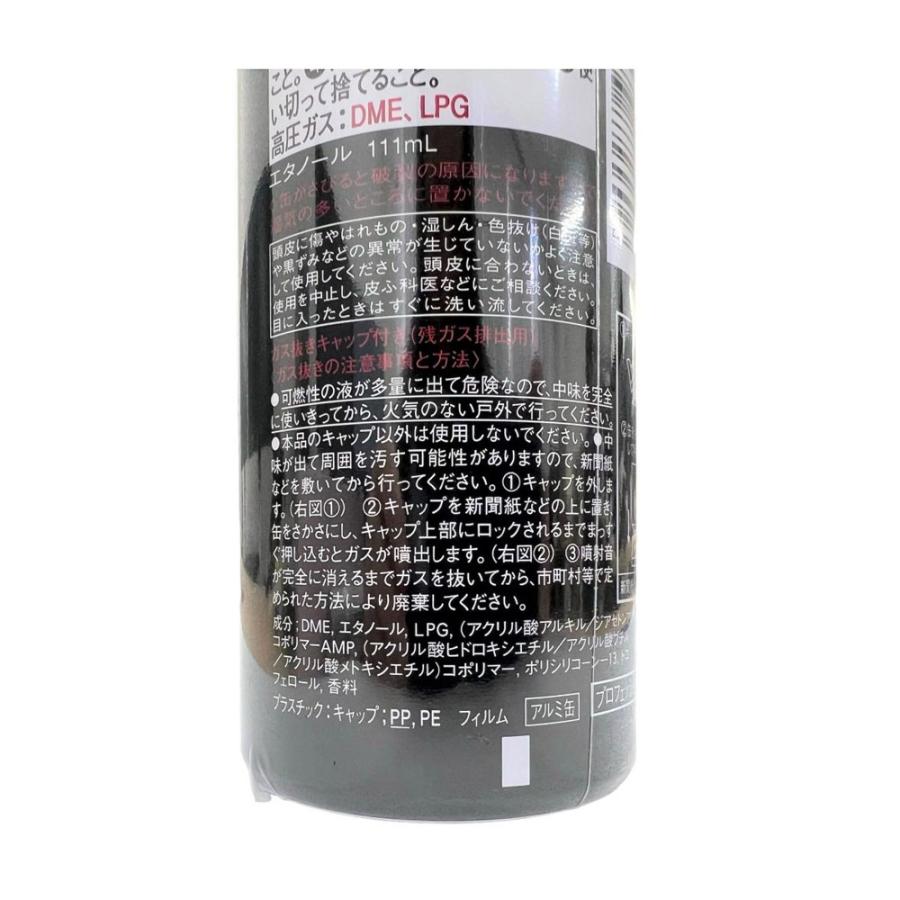 SHISEIDO PROFESSIONAL（資生堂プロフェッショナル） 資生堂プロ