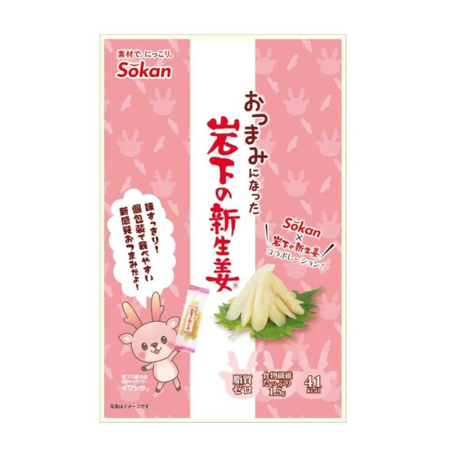 【最終値下げ】Mellojoy 和食シリーズ シークレット YGKよつあみ エックスブレイド アップジーリーダーV12ハード 5号