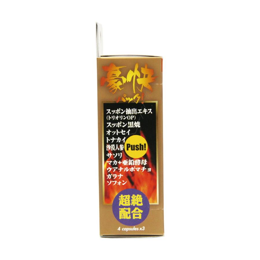 ◇宝仙堂 凄十(スゴジュウ) 豪快3DAYSパック 4粒X3パック ◇宝仙堂 凄十(スゴジュウ) 豪快3DAYSパック 4粒X3パック