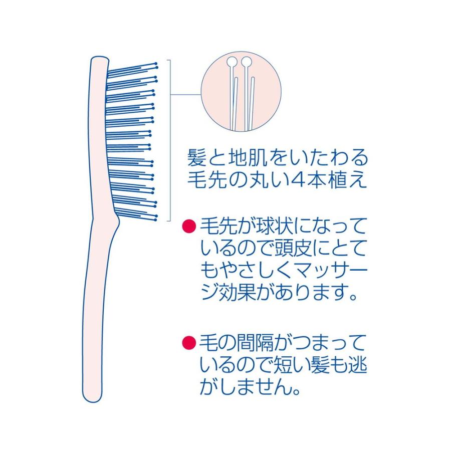 池本刷子工業 池本 セデュウス ブラッシングブラシ Lサイズ 池本刷子工業 池本 セデュウス ブラッシングブラシ Lサイズ