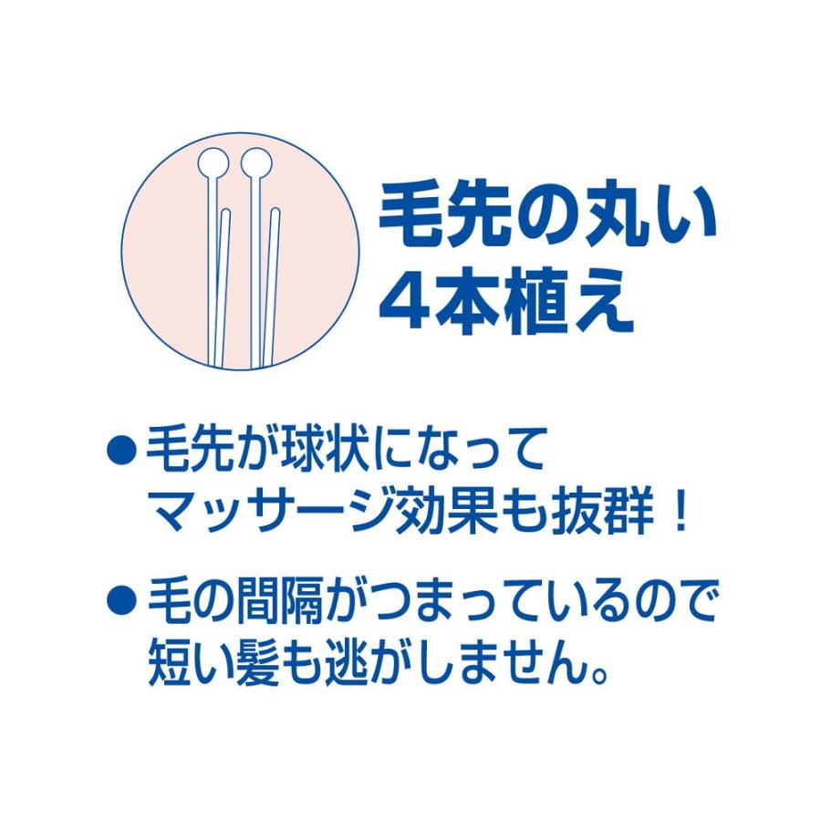 池本刷子工業 池本 セデュウス ブラッシングブラシ Sサイズ 池本刷子工業 池本 セデュウス ブラッシングブラシ Sサイズ