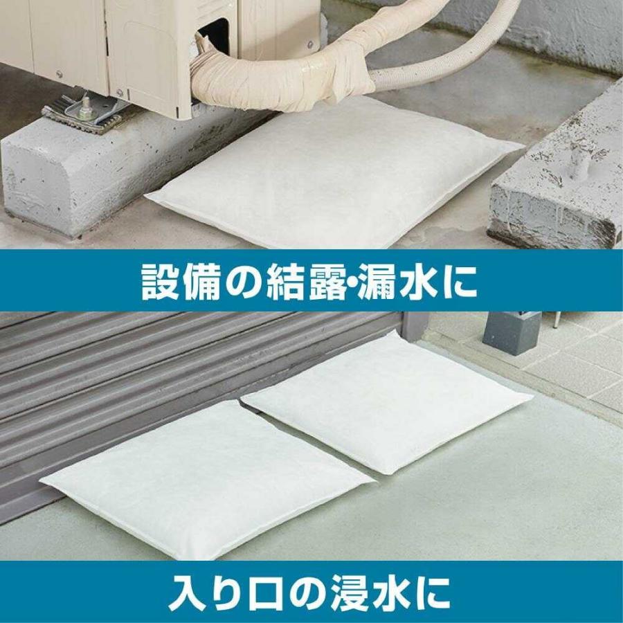 キングジム 吸水バッグ（10枚入） 10枚入り : サンドラッグe-shop