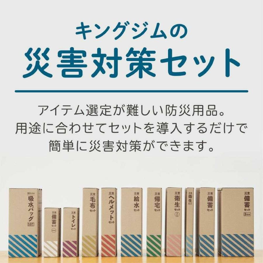 キングジム 吸水バッグ（10枚入） 10枚入り : サンドラッグe-shop