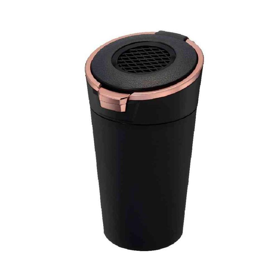 星光産業 ソーラーライトアッシュ CP ED252 : サンドラッグe-shop