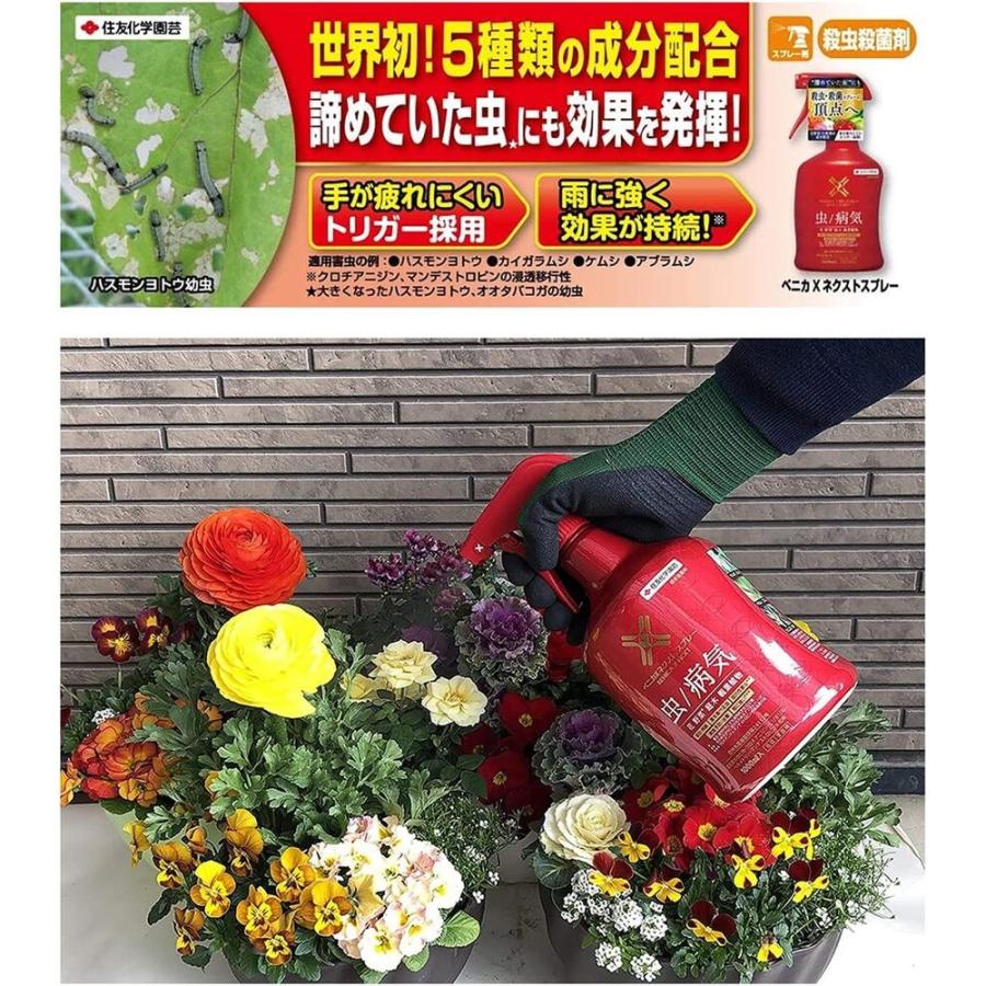 住友化学園芸 【農薬】住友化学園芸 ベニカXネクストスプレー 住友化学園芸 【農薬】住友化学園芸 ベニカXネクストスプレー