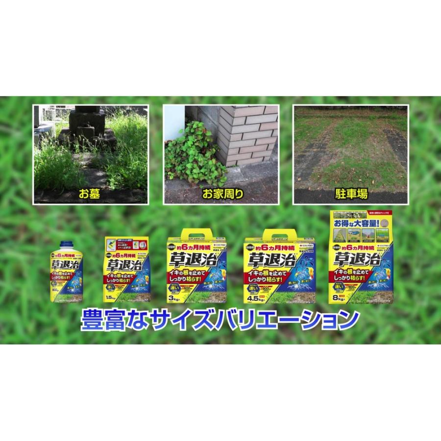 園芸養土・薬品 S KINCHO園芸 住友化学園芸 クサノンDX粒剤 400g : サンドラッグe-shop