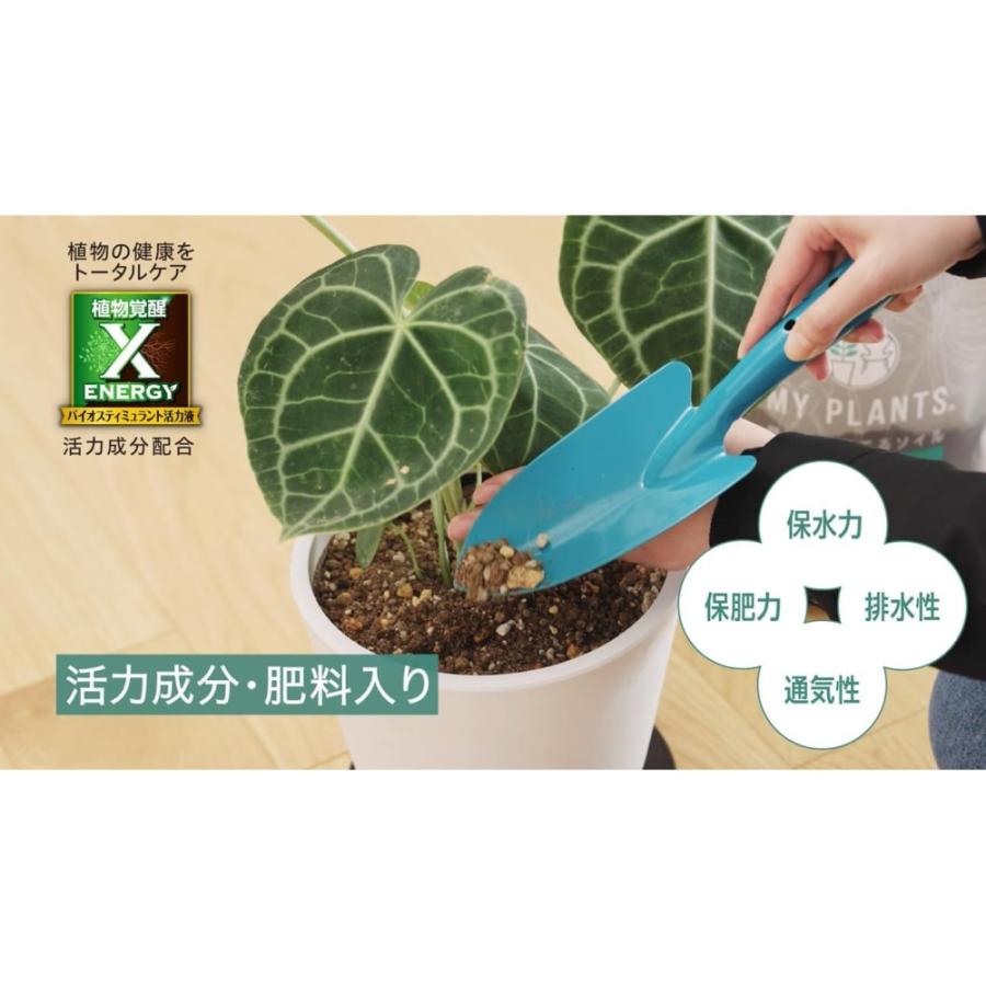 住友化学園芸 マイプランツ 健やかに育てるソイル観葉用 5L : サン