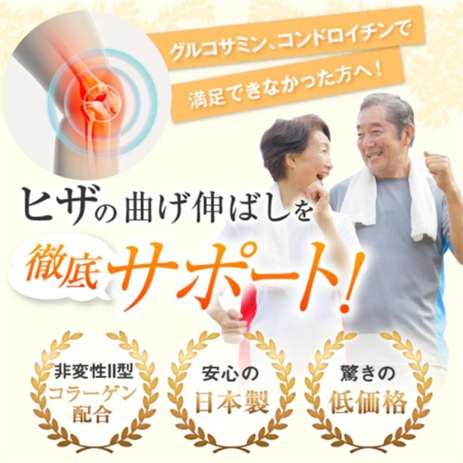 FINE JAPAN ◇【機能性表示食品】ファイン 非変性II型コラーゲンUC-II