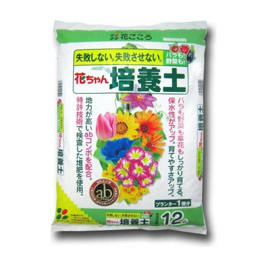 園芸養土・薬品 FLOWER BOMB LA Bomba • Flower • 3.5g by Florist Farms | Buy Online | Treehouse