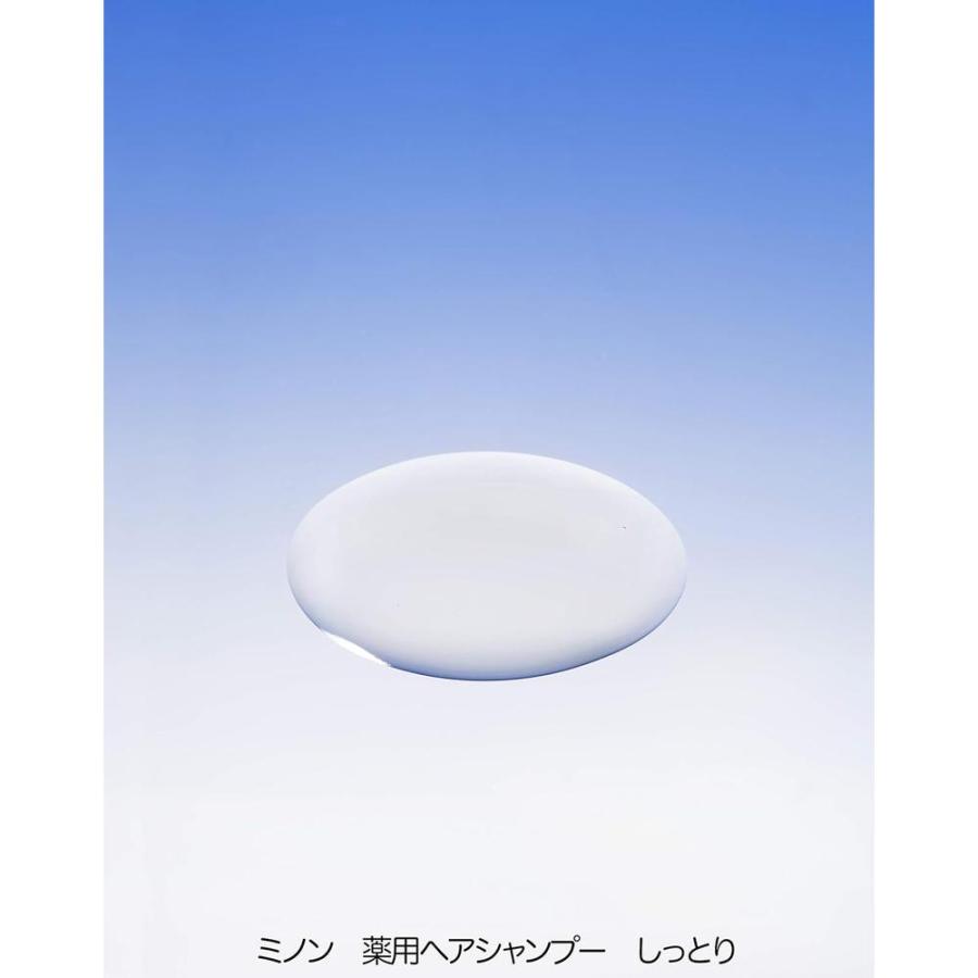 ミノン 薬用ヘアシャンプー 詰替 380mL | MINON | 02