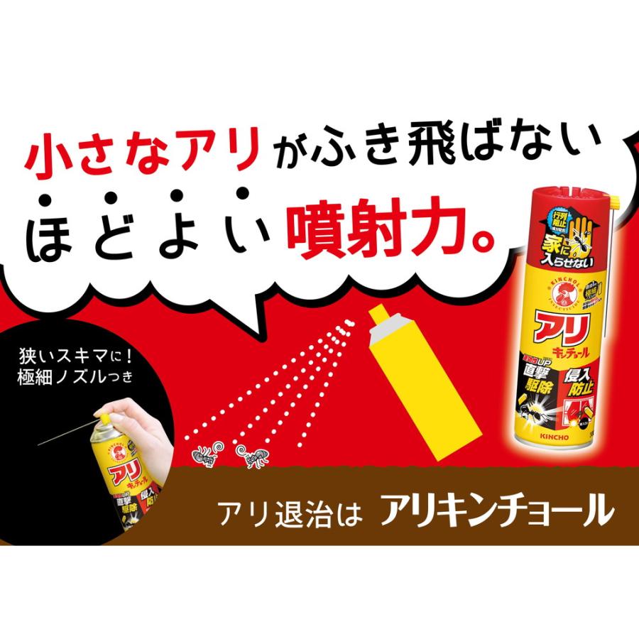 太陽に蟻 カビに侵された女王アリとお魚報告 - YouTube