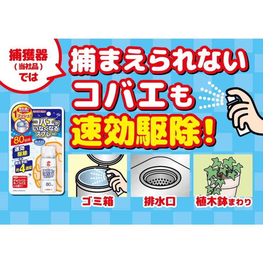 キンチョー 大日本除虫菊 KINCHO コバエがいなくなるスプレー 80 キンチョー 大日本除虫菊 KINCHO コバエがいなくなるスプレー 80