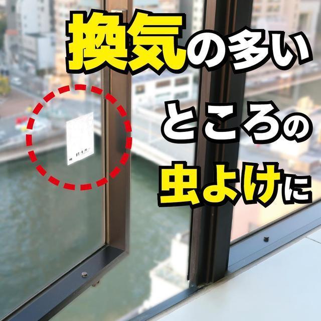 金鳥 業務用虫コナーズ シートタイプ 100日用（ガラス用） 6枚｜sundrugec｜02