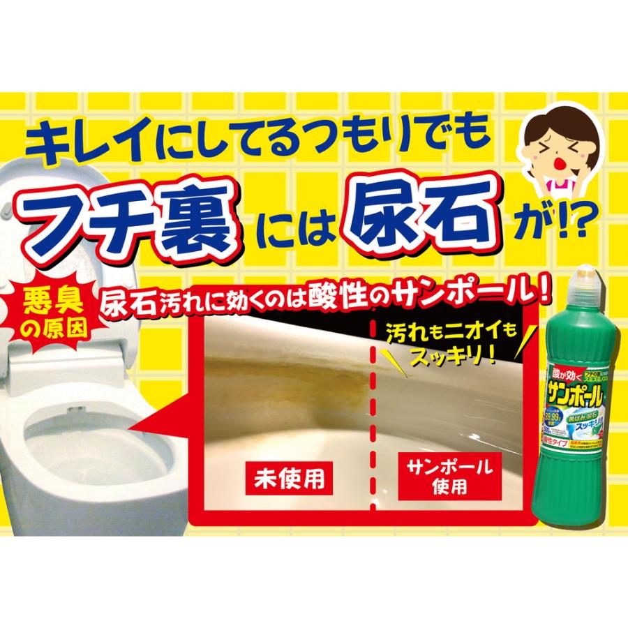 サンポール 大日本除虫菊 KINCHO トイレ用洗剤 尿石除去 1000ml : サン 