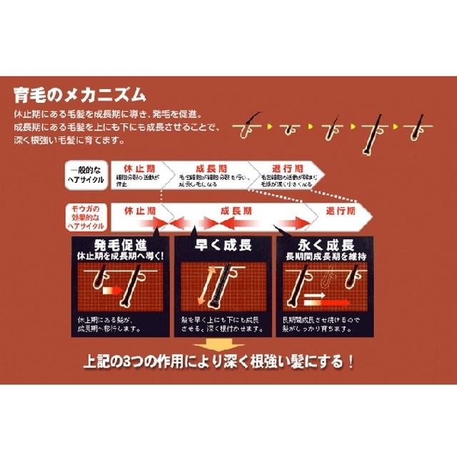 【医薬部外品】薬用 モウガL 女性向け 60ml｜sundrugec｜03