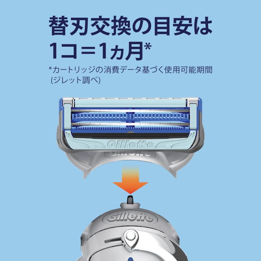P＆G ジレット スキンガードパワー替刃8B 替刃8個入 : サンドラッグe