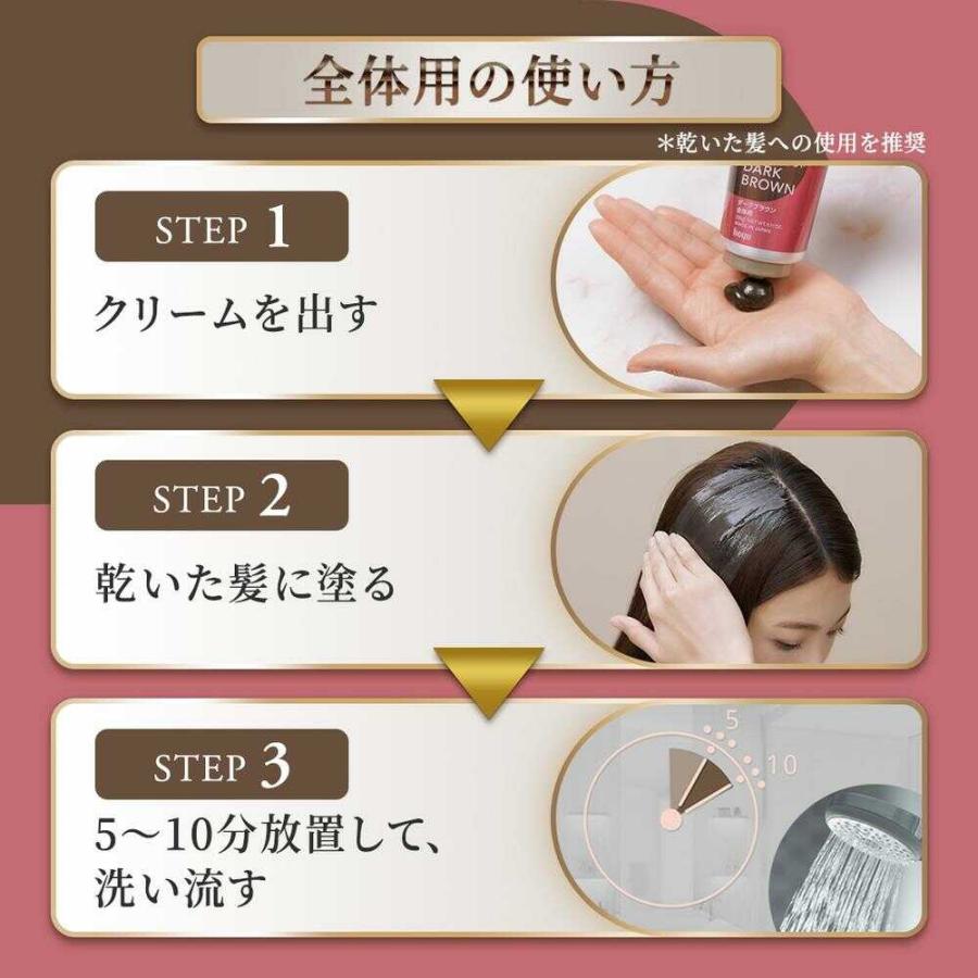 CIELO シエロ カラートリートメント全体用 アッシュブラック CIELO シエロ カラートリートメント全体用 アッシュブラック
