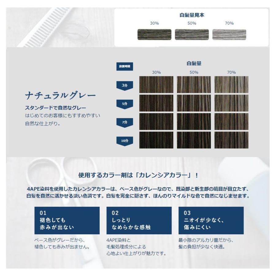 hoyu ホーユー カレンシアカラー ナチュラルグレー 80g : サン hoyu ホーユー カレンシアカラー ナチュラルグレー 80g : サン