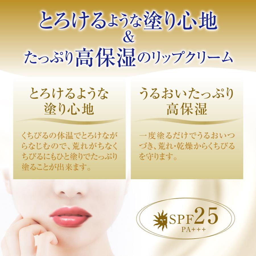 メンソレータム ロート製薬 メルティクリームリップ ミルクバニラ 2.4g