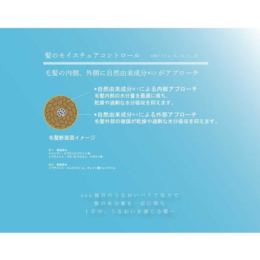 中野製薬 enu（エヌ） リペアメント FL 250g : サンドラッグe-shop