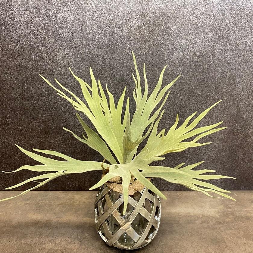 人工観葉・フェイクグリーン 光触媒 人工観葉植物 ウォールグリーン