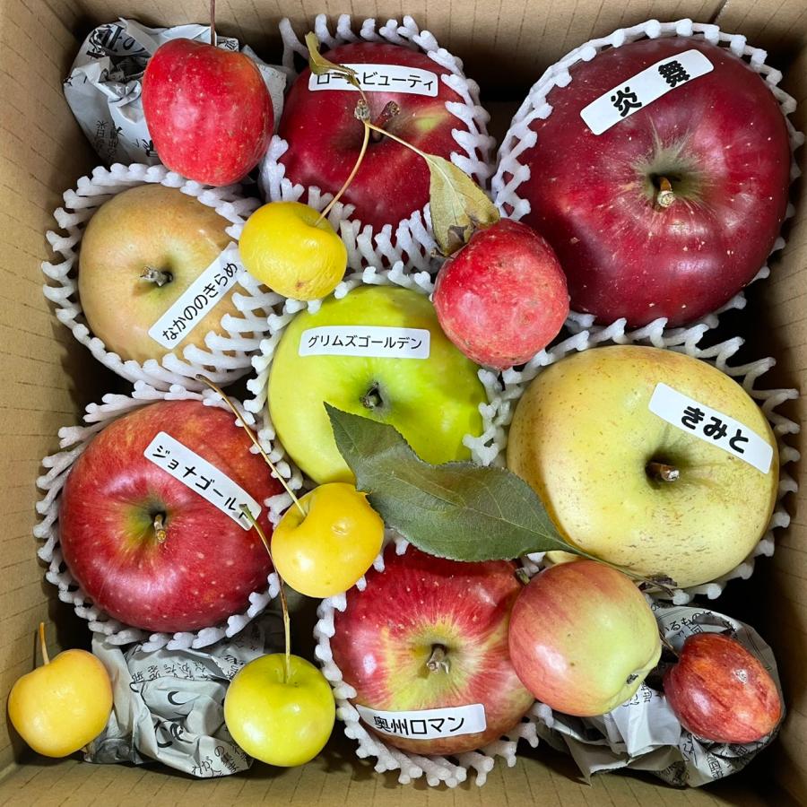 りんご いろいろBOX （2kg） | 
