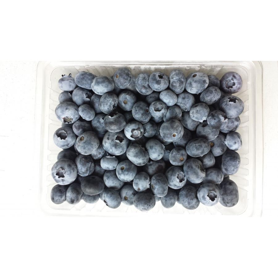 冷凍ブルーベリー 500g Ice Blu サンファーム 通販 Yahoo ショッピング
