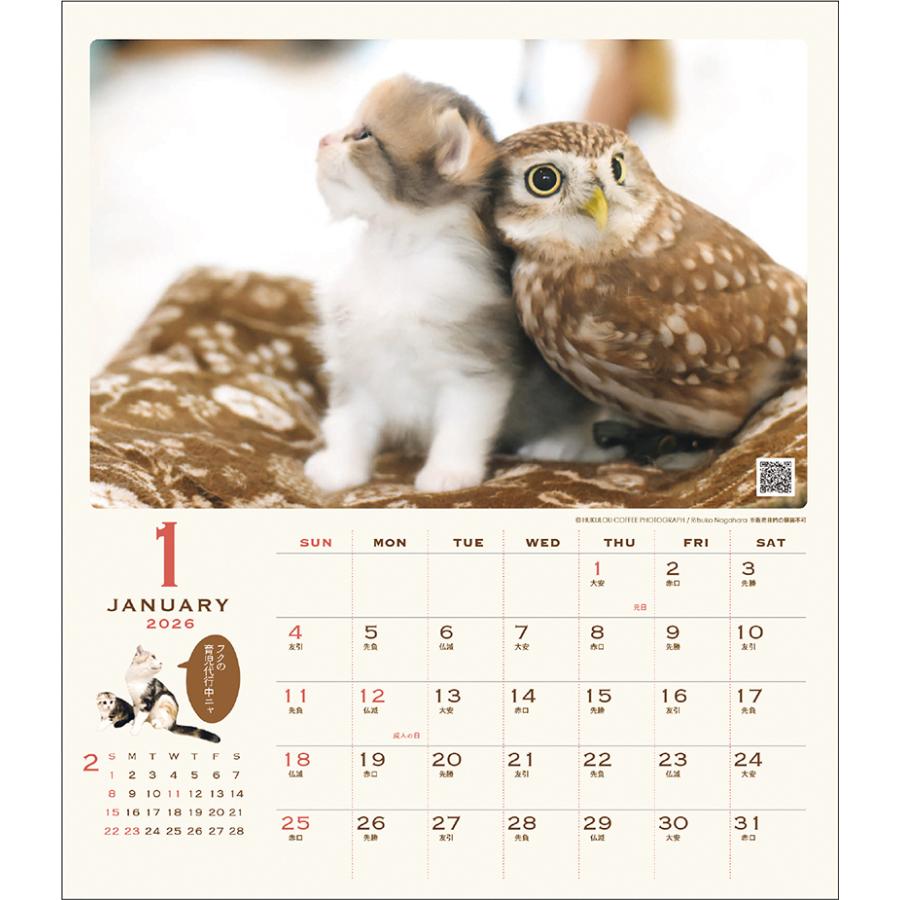 2026年度カレンダー 壁掛け 042 HUKULOU COFFEE 1000136892 APJ アート