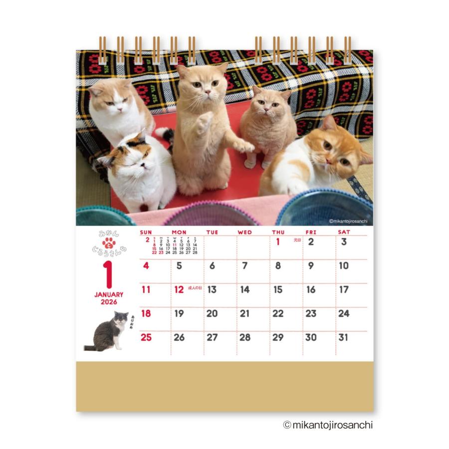 2026年度カレンダー ねこと生活 みかんとじろうさんち(卓上) 26NK8527